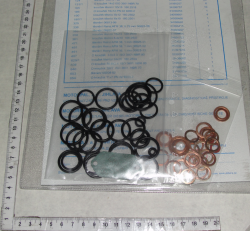 1221 Komplekt uplotnenii TNVD 45010-02 (Motorpal) (14234)