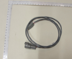 селфорд фото