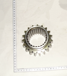 2022 SHesternya 2022-1701224 (12413)