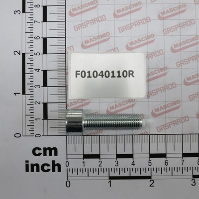 GASPARDO Bolt M10h1,25h35 F01040110 (15447)