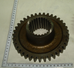 1221 SHesternya 1221-1701216 z34 (9722)