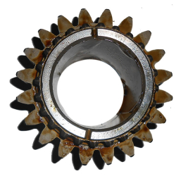 2022 SHesternya 2022-1701361 (6637)