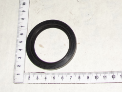 KAMAZ Salnik privoda TNVD Evro-3 (45h60h7) FTOR 7406.1111242 (12516)