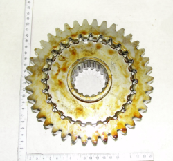 2022 SHesternya 2022-1701340 (13461)