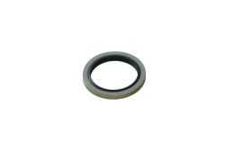 Шайба уплотнительная 12 F03151370