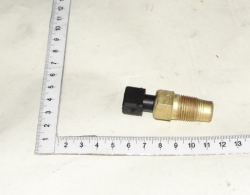 1221 Datchik tem.vodi 301.382807.08 (9815)