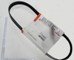 3522 Remen kompressora kondicionera  01183129 (10841)