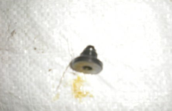 Nagnetalnii klapan YAMZ 236,238 33.1111102 (7401)