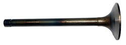 3633.750x0