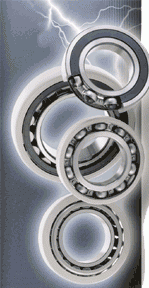 102306 Podshipnik (7878)