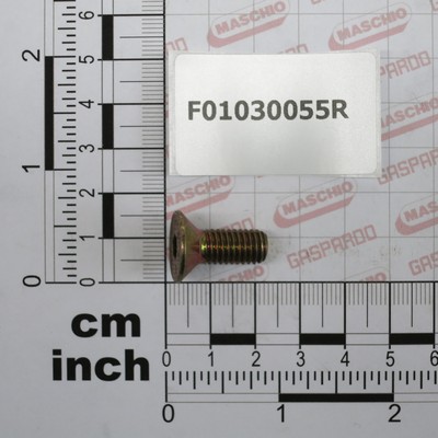 GASPARDO Bolt M 8X1,25X20 U5933 10.9 ZD  F01030055 (15446)