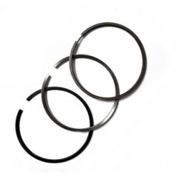 Кольца поршневые 8421.1004002 FEDERAL MOGUL