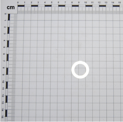Gaspardo SHaiba16.5X25X1 G18701820 (8846)