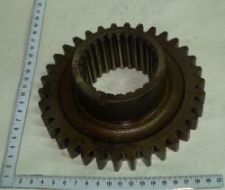 1221 SHesternya 1221-1701212 z37 (9755)