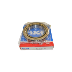1015 SKF (1)