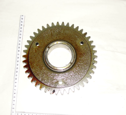 2022 SHesternya 2022-1601088 (12412)