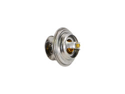 Термостат 200150049638 (для гарантии) (2)