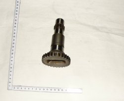 2022 Val-shesternya 80-1601071-B (12411)