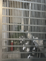 Полотно решетное ОВСП-36 (790990) продольное отв