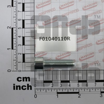 GASPARDO Bolt M10h1,25h35 F01040110 (15447)