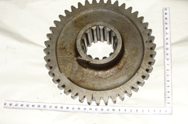 1523 SHesternya 1522-1601088 (9868)