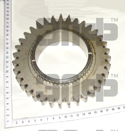 1523 SHesternya 1222-1701052 (9855)