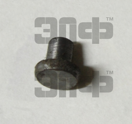 MTZ Stopor 80-1701044 (10262)