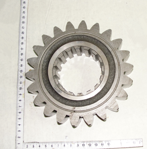 1523 SHesternya 1522-1701221 z22 (13435)