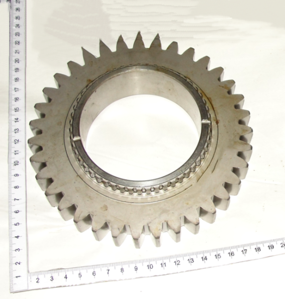 1523 SHesternya 1222-1701052 (9855)