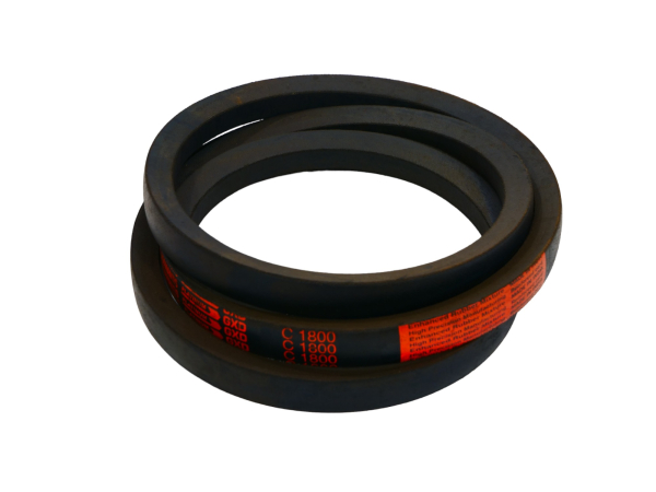 В (C) - 1800 Ремень ADAMANTIS (1)