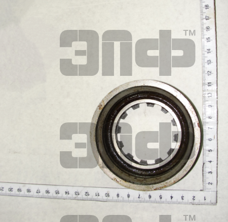 1523 CHashka 52-2303021 (13407)