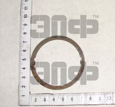 MTZ SHaiba upornaya 70-1701226 (13533)