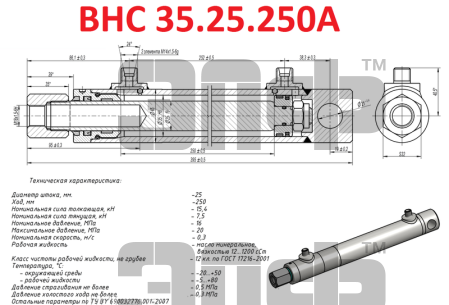 POLESE Gidrocilindr VNS 35.25.250 levii podema motovila (14181)