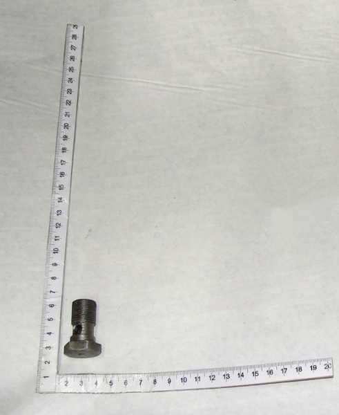 Bolt  F80-3407201 (9975)