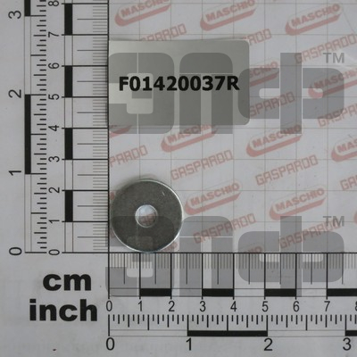 GASPARDO SHaiba F01420037R (15534)