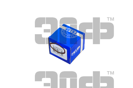 SL5203.B-2T FKL Подшипник (1)