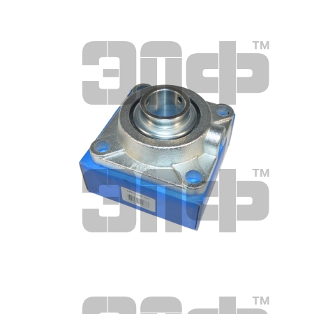 lrg208 (2)