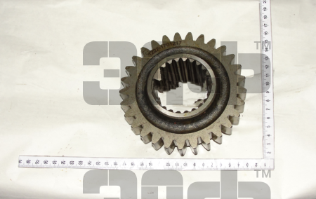 1523 SHesternya 1222-1701217 (9858)