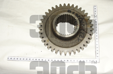 1523 SHesternya 1222-1701216 (9869)