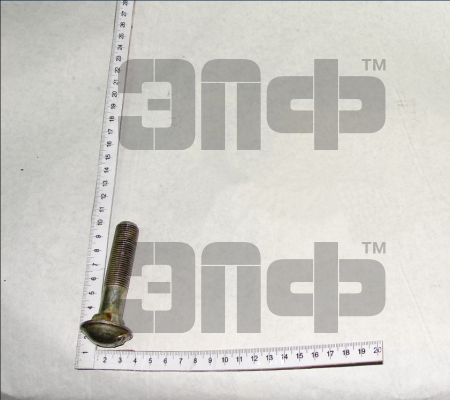 MTZ Bolt krepleniya diska k obodu (per. koleso) 1221-3101011 (9991)