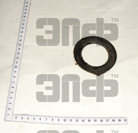 1221 Pruzhina tarelchataya kvala 260-1005043 (9690)