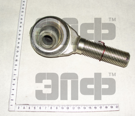 MTZ Vint A61.02.100 raskosa (13217)