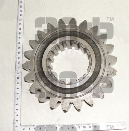 1523 SHesternya 1522-1701221 z22 (13435)
