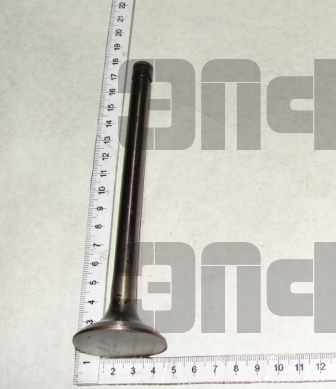 MTZ Klapan vipusknoi 240-1007015 mal (13229)