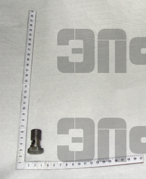 Bolt  F80-3407201 (9975)