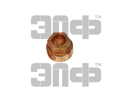 Пробка 70-1701300  1 14 КПП, задн. мост (2)